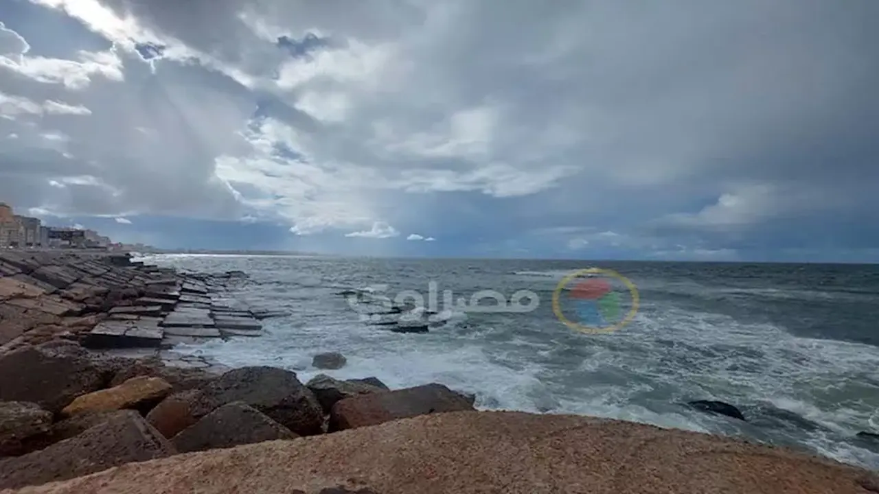 الأرصاد الجوية تحذر من شبورة كثيفة وأمطار غزيرة خلال الأيام المقبلة